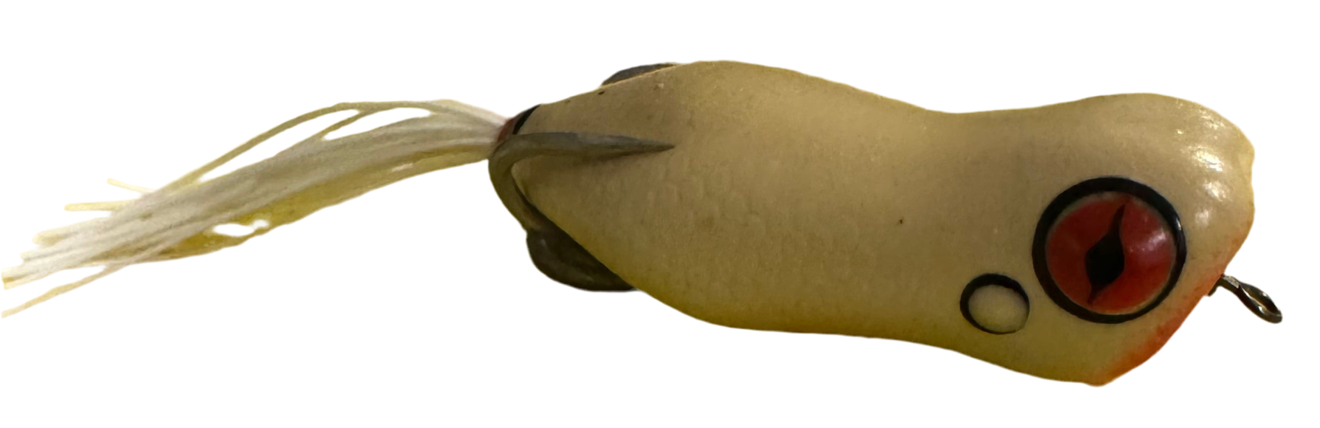 Brain Rot by SeaChell Fishing