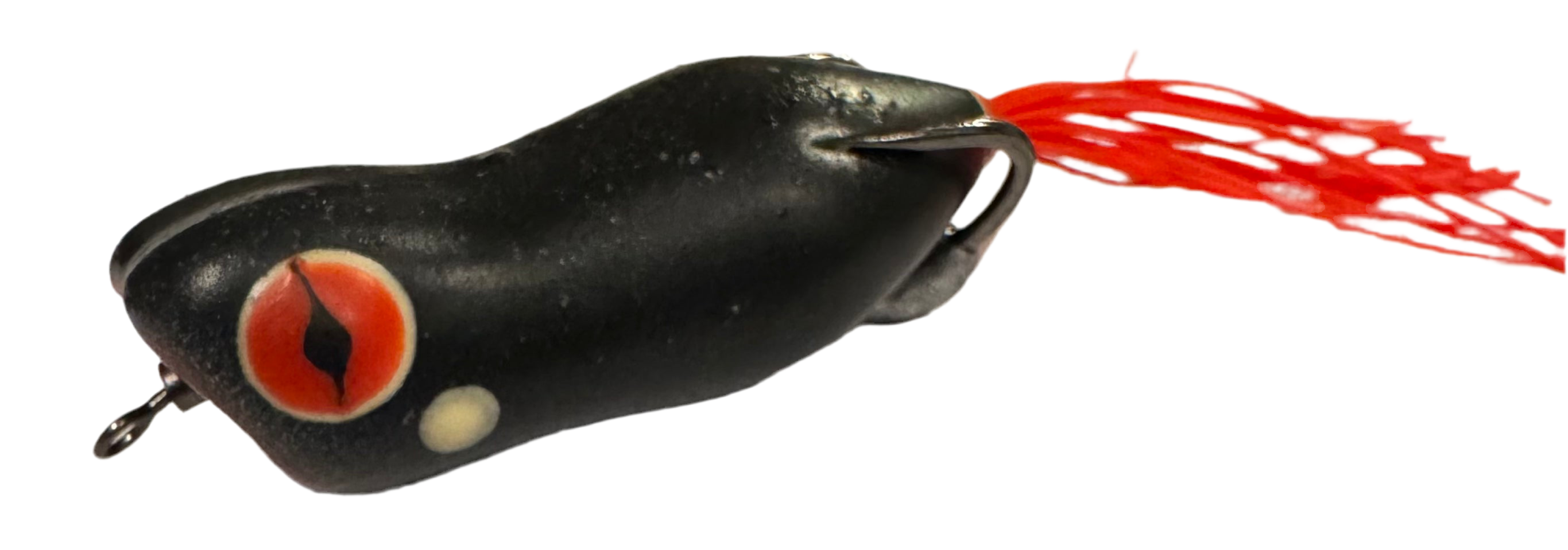 Brain Rot by SeaChell Fishing