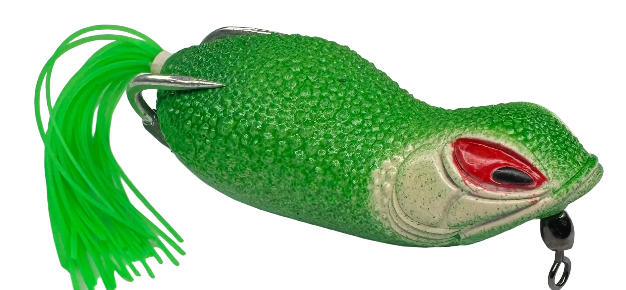 Bighead skirted